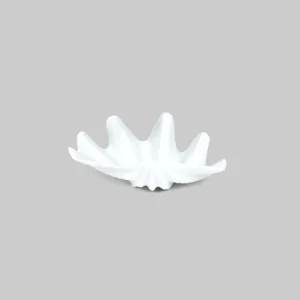 Antipastiera conchiglia