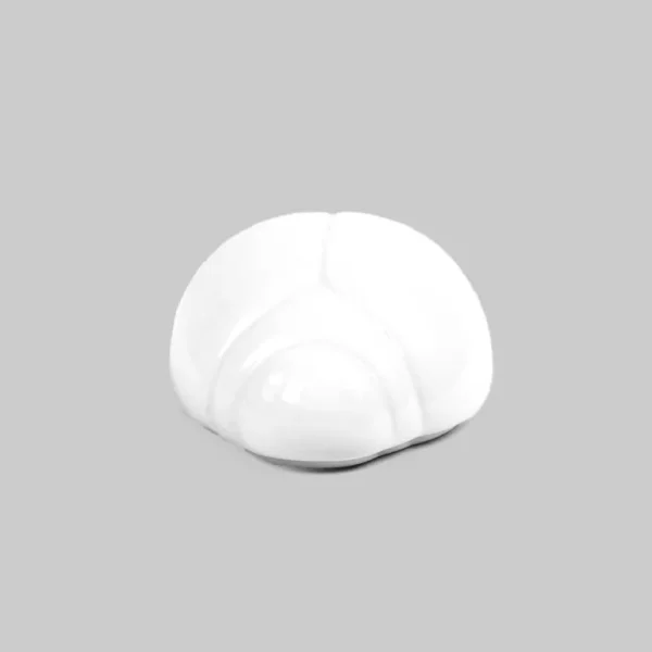 Coccinella