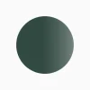 Colore 101 verde brillante
