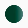 Colore verde scuro nero