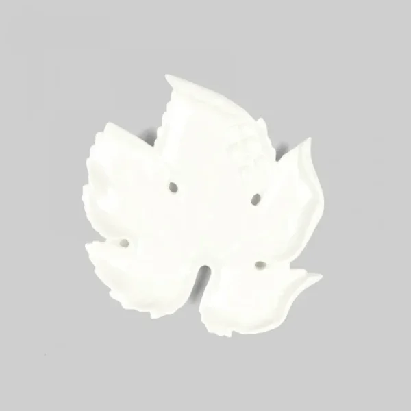 Foglia
