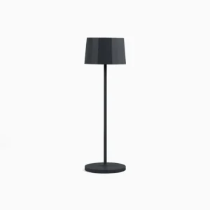 Lampada Twiggy antracite