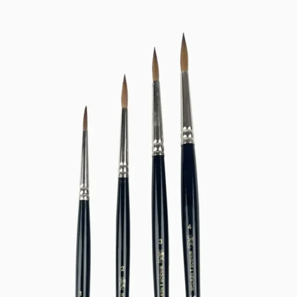 Pennelli Winsor & Newton