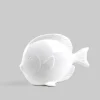 Pesce angelo piccolo